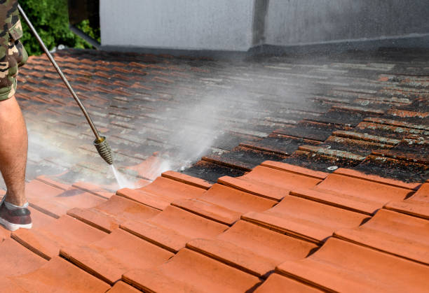 Best Affordable Power Washing  in Bogata, TX